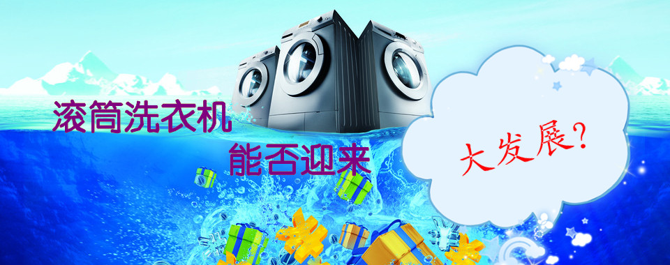 中怡康：滚筒洗衣机拉动市场 2013年将有明显回暖 